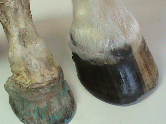 DSC01792