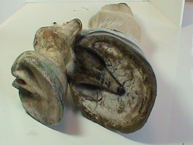 DSC01794