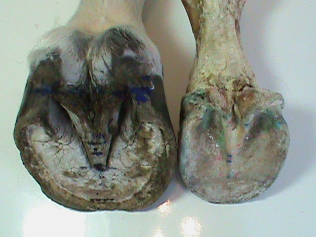 DSC01799