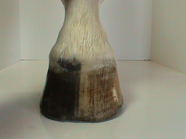 DSC01805