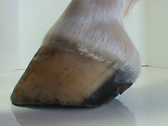 DSC01808