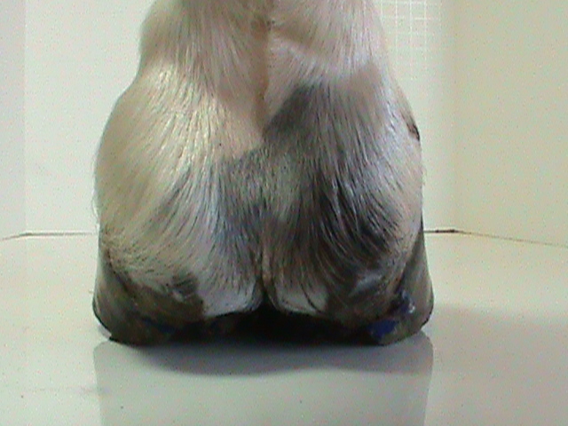 DSC01811