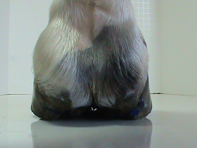 DSC01812