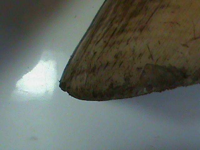 DSC01815