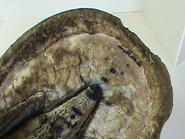 DSC01819