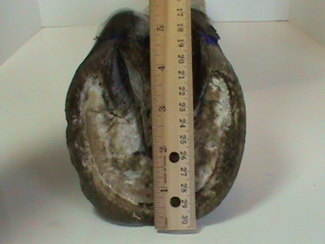 DSC01821