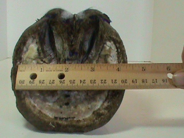 DSC01823