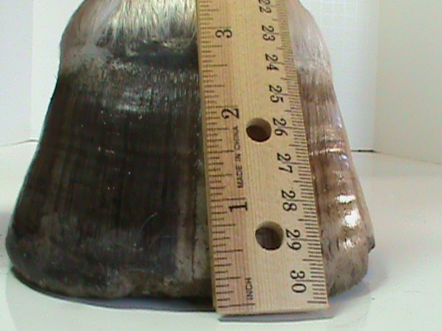 DSC01826