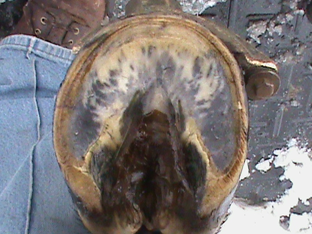 DSC01930