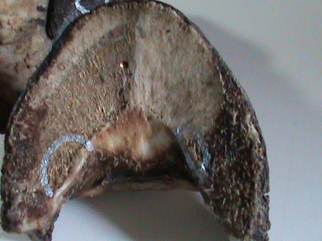 DSC02664