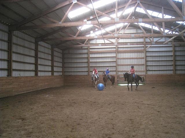 Horsesoccergang zpsuuk7grae