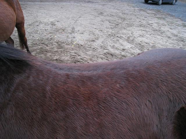 IMG 7269 zpsb3hmpa7e