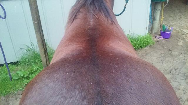 back one zpsz8y0lxkt