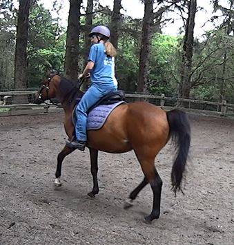 outsaddle7 zpsoyi3evzn