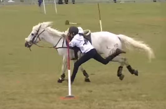 pony canter