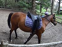 Amoreghostsaddle zpswgt5ooiz