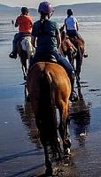 Brave calm