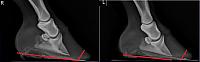 Halla Xrays 1-30-18 after trim