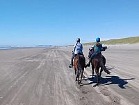 Hero and Nala Pt iredale