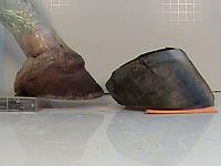 DSC00071