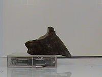 DSC00075