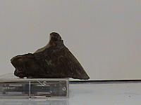 DSC00078