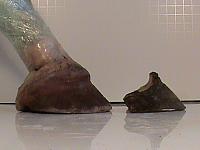 DSC00087