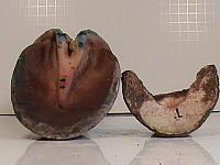 DSC00088