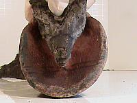DSC00091