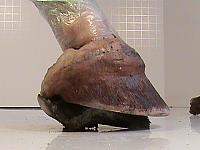 DSC00096
