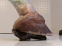 DSC00097