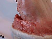 DSC00885