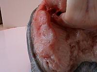DSC00890