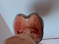 DSC00905