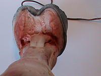 DSC00906