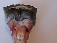 DSC00909