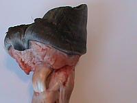 DSC00910