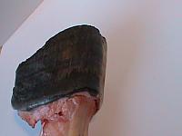 DSC00912