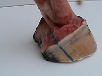 DSC00939