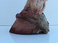 DSC00971