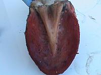 DSC00976