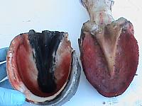 DSC00977