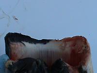 DSC00982