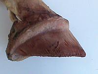 DSC00986