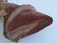 DSC00987