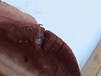 DSC00999