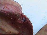 DSC01002