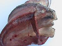 DSC01009