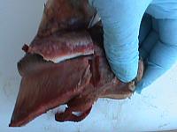 DSC01011