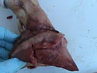 DSC01024